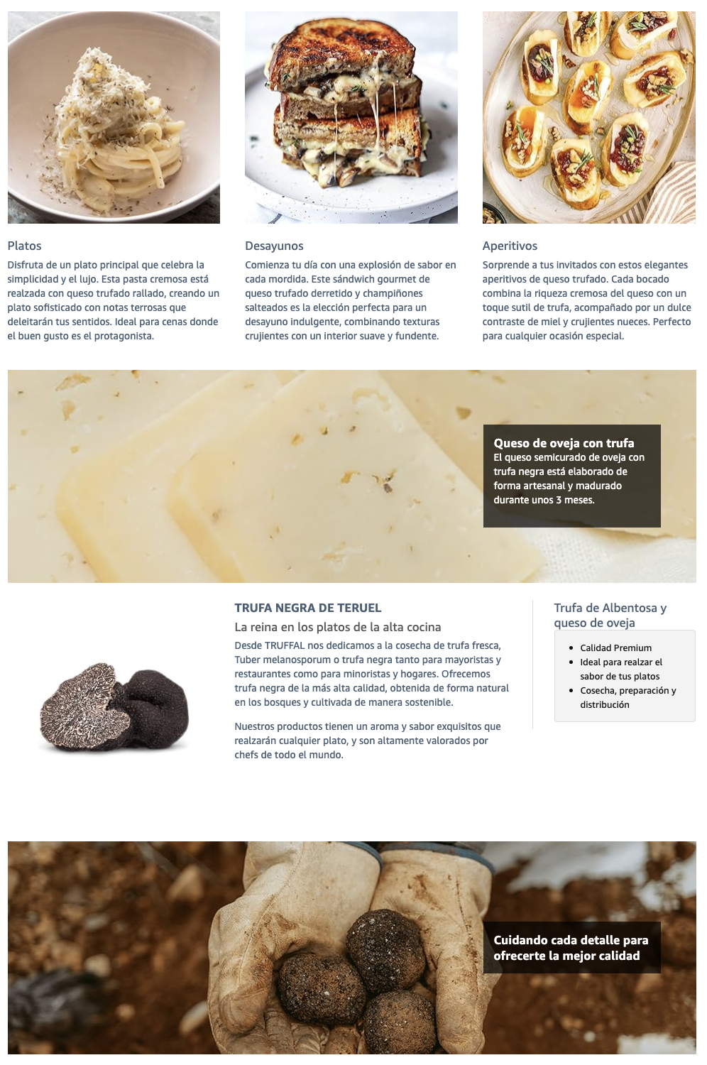 Ficha Amazon - ejemplo 2